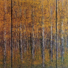 Aspen Grove