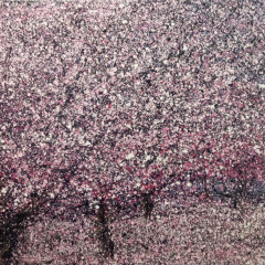 Pink,Lost in the Storm