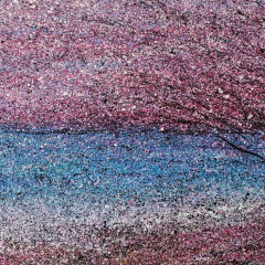Cherry Blossom Storm