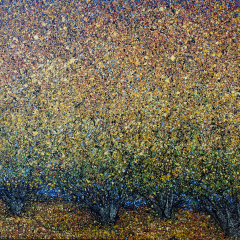 Marvelous Maples