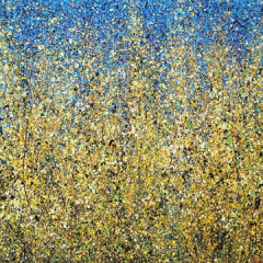 Wild Mustard Revisited