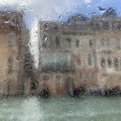 Venice Series