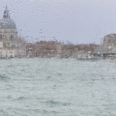 Venice Series