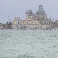 Venice Series