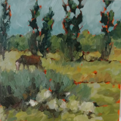 View from the Chateau