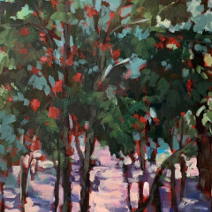 Camellia Trees