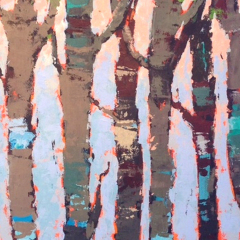 Birch Trees #1