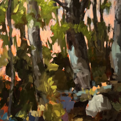 Banks of Oak Creek