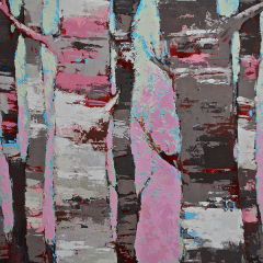 Birch trees #2