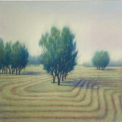 Midwest Fields